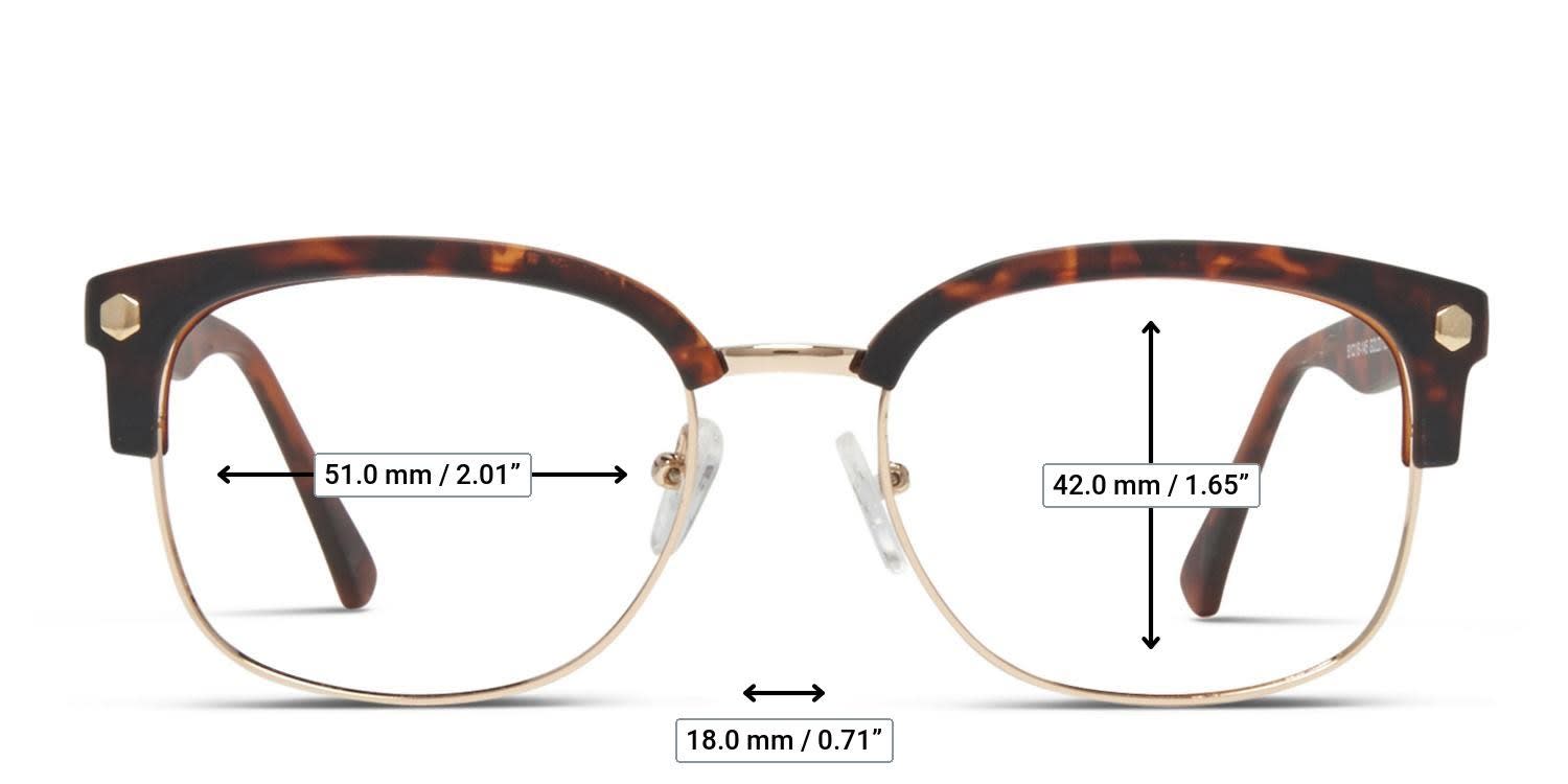 Muse Elliot Tortoise, Gold glasses - Measurements