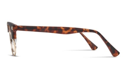 Muse Elliot Tortoise, Gold