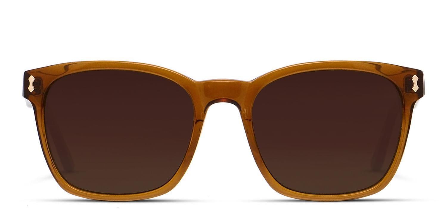 Muse Harve Brown, Clear glasses - Brown / Clear - Frontal View