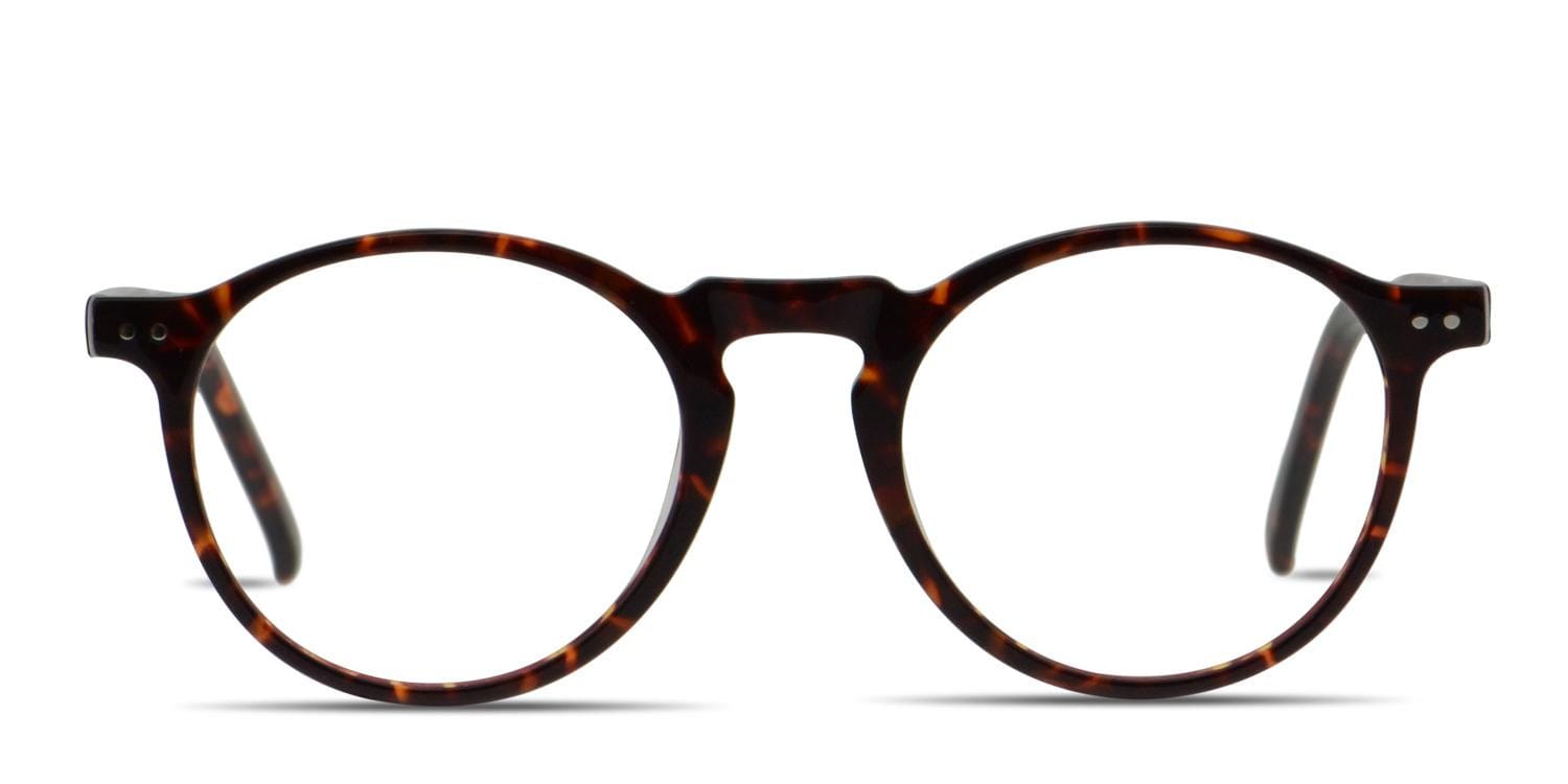Muse Darian Tortoise w/Clip-on glasses - Tortoise - Frontal View