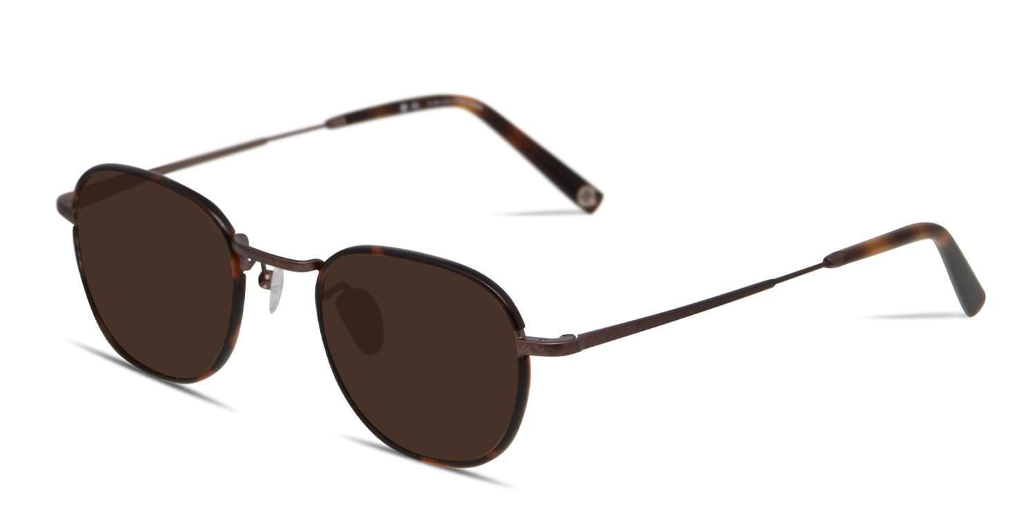 Muse Missoula Brown/Tortoise