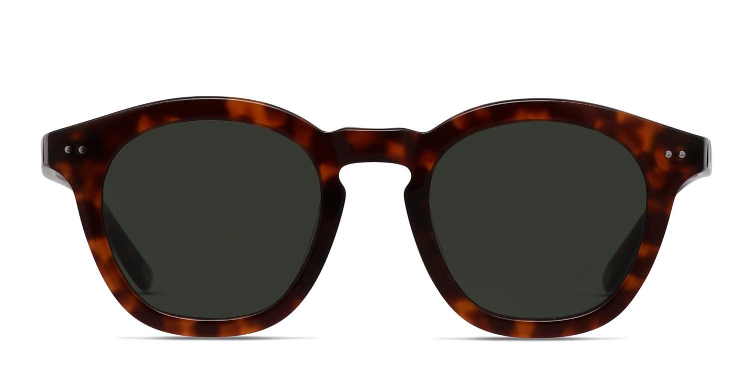 Muse Eclipse Tortoise frame