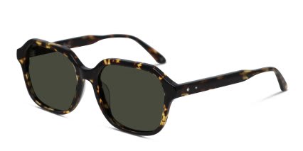 Amelia E. Luster Tortoise glasses - Tortoise - Angle View