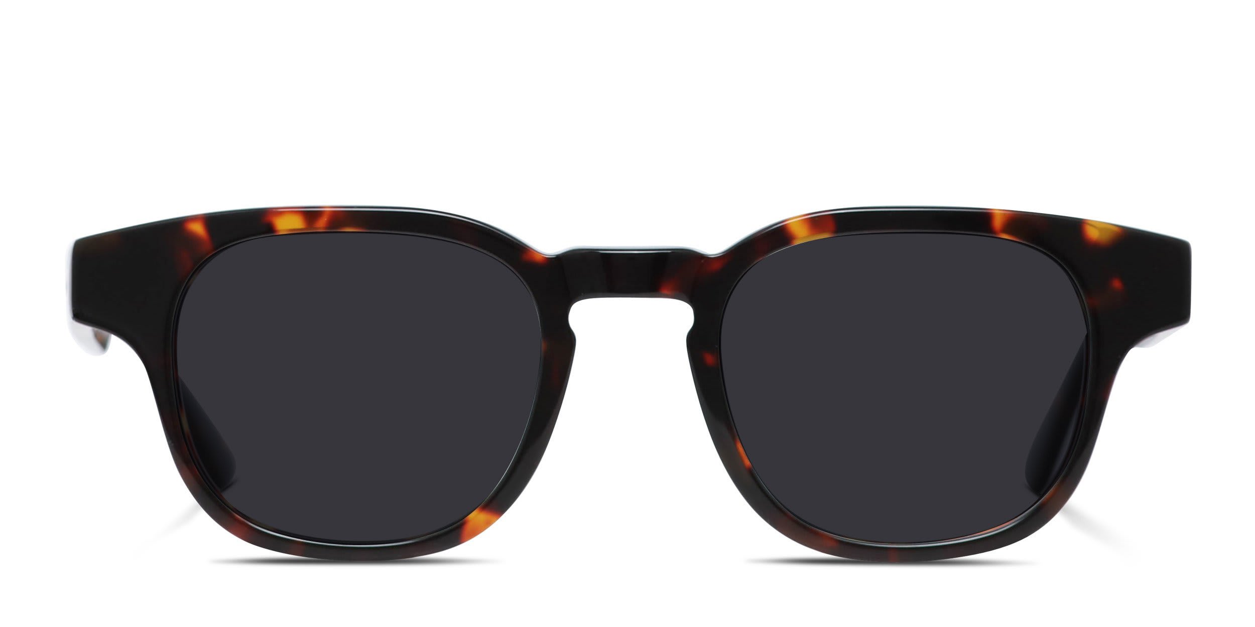 Muse Launch Tortoise glasses - Tortoise - Frontal View
