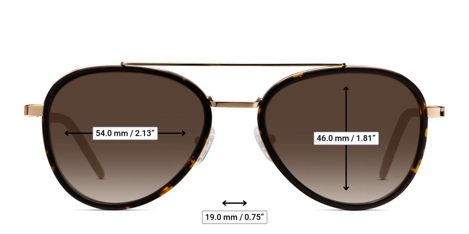 Ottoto Glasgow Tortoise glasses - Measurements