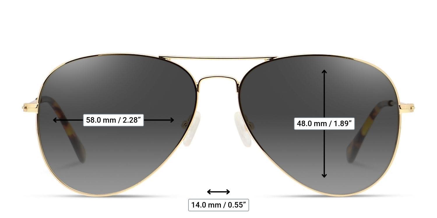 Ottoto Magnus Gold glasses - Measurements