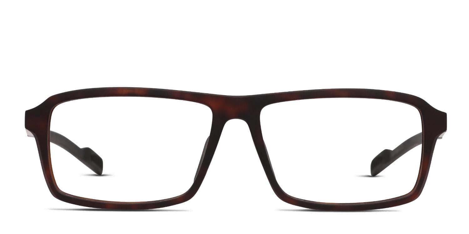 Adidas SP5016 Brown, Tortoise glasses - Brown / Tortoise - Frontal View