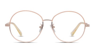 Karen Walker Joyce