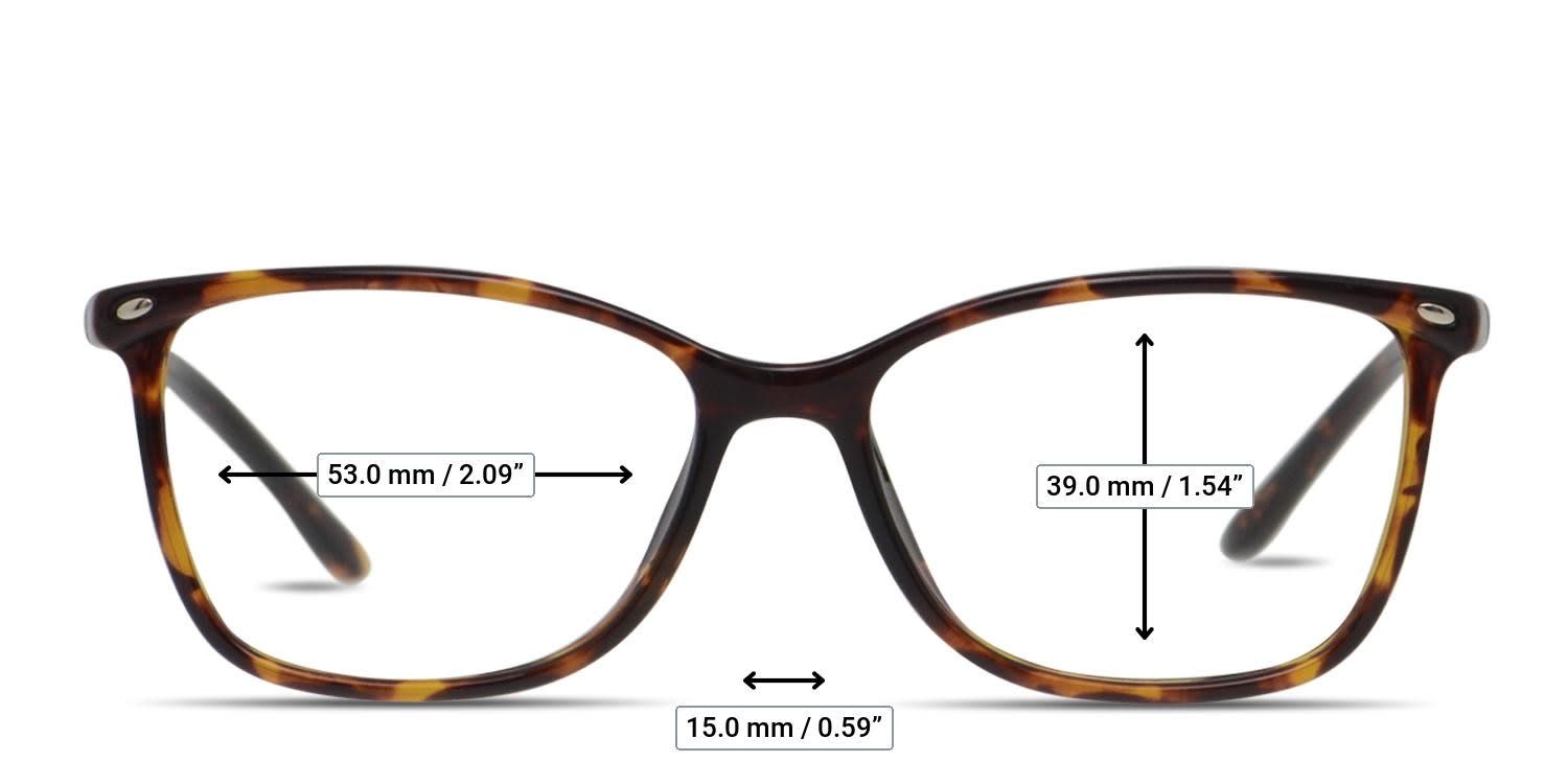 Amelia E. Nettle Tortoise glasses - Measurements
