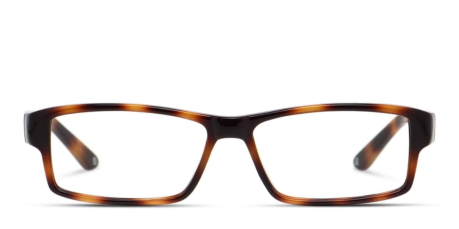 Muse Bastian Tortoise Prescription eyeglasses