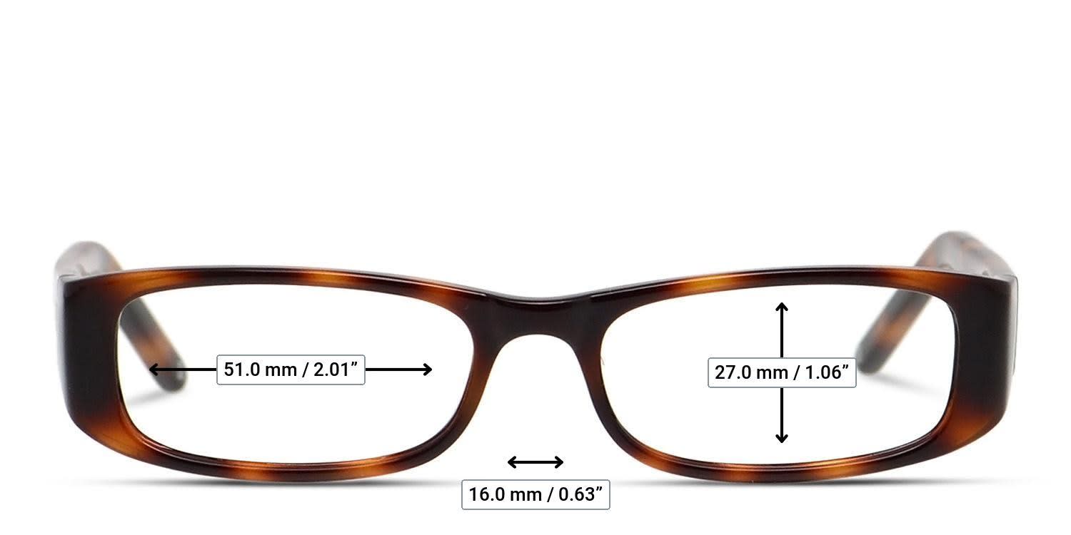 Muse Karri Tortoise glasses - Measurements