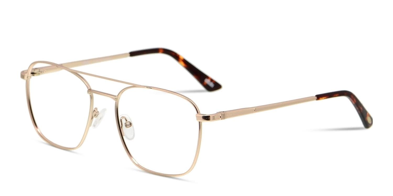 Ottoto Darcio Gold
