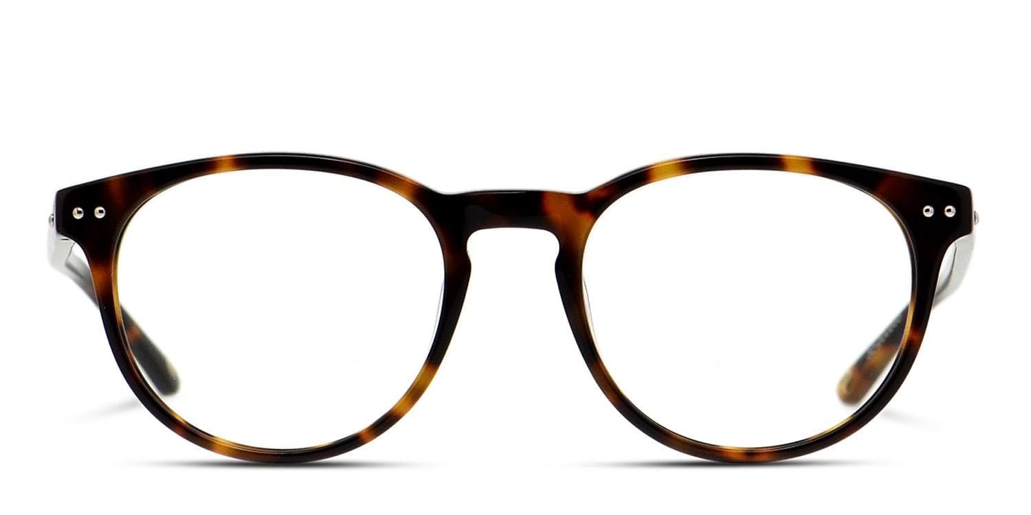 Muse Galyo Brown/Tortoise w/Clip-on glasses - Brown / Tortoise - Frontal View