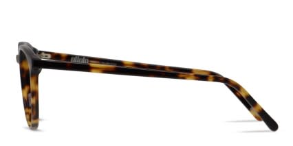 Ottoto Piero Brown, Tortoise glasses - Brown / Tortoise - Side View