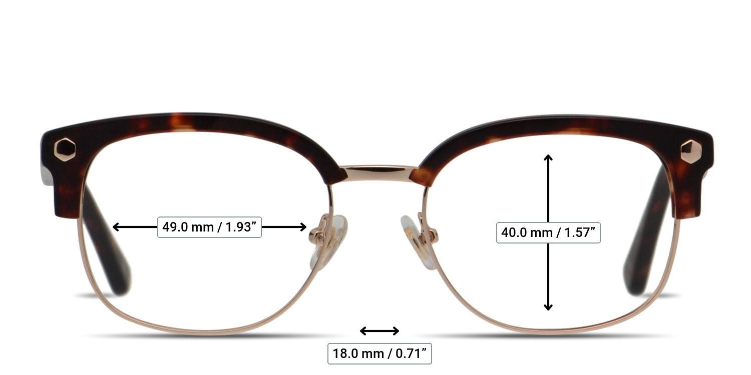 Muse Elliot Tortoise, Gold glasses - Measurements