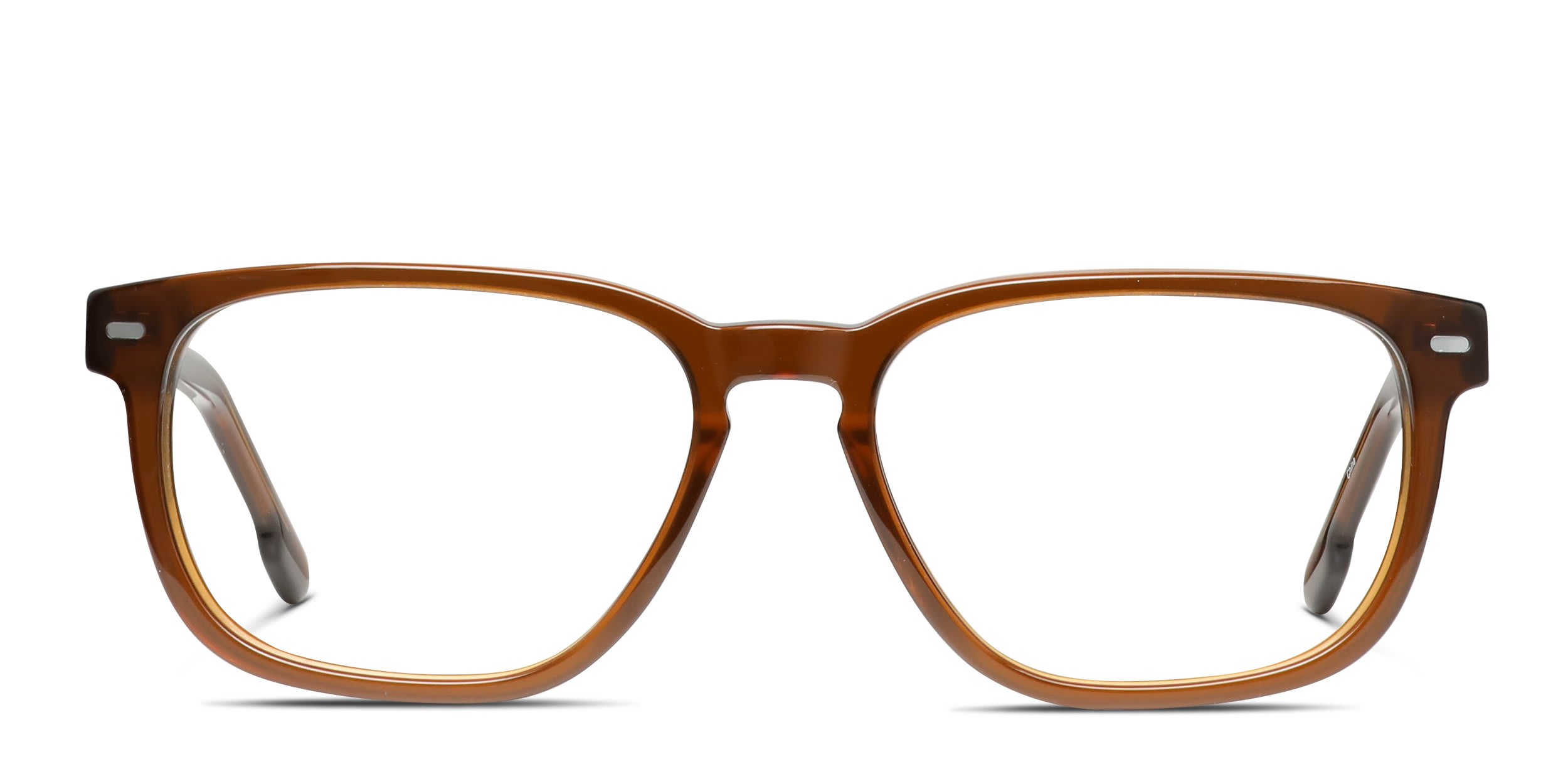 Muse Acute Brown glasses - Brown - Frontal View