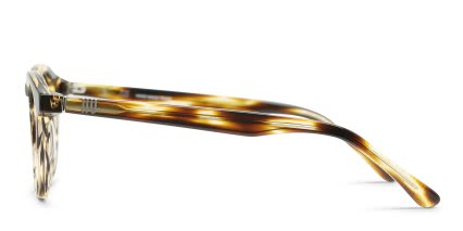 Muse x Transitions Trippy Tortoise glasses - Tortoise - Side View