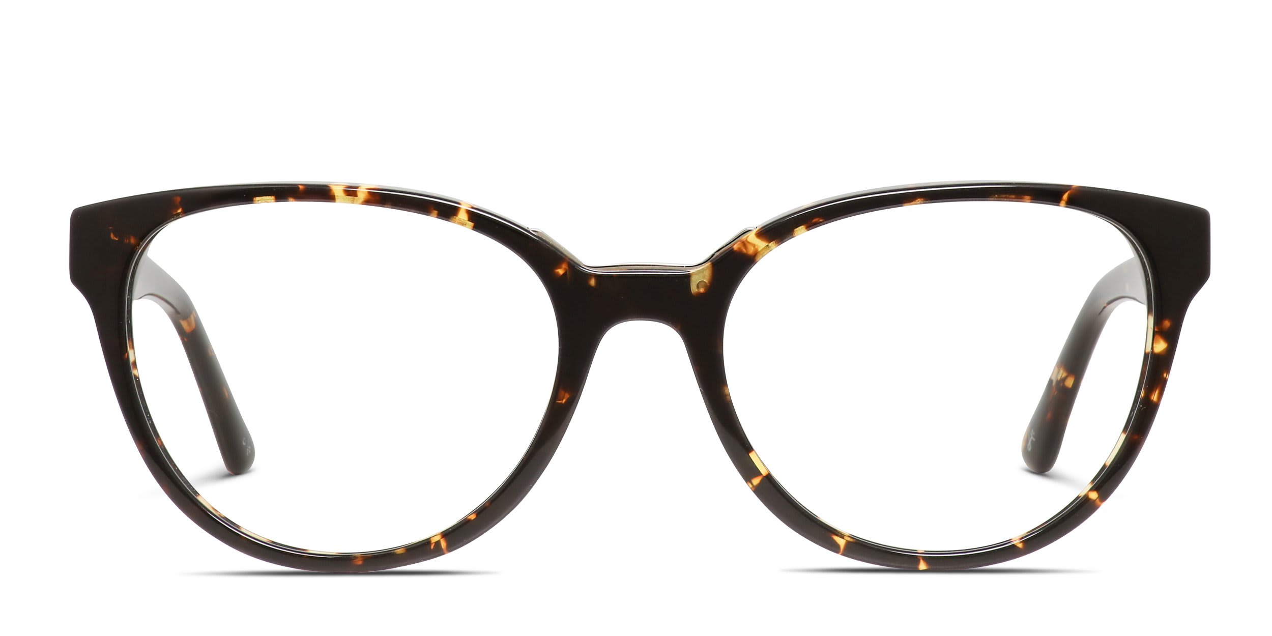Amelia E. Europa Tortoise, Brown, Gold glasses - Tortoise / Brown / Gold - Frontal View