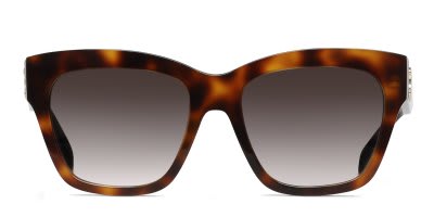 Celine CL40253I