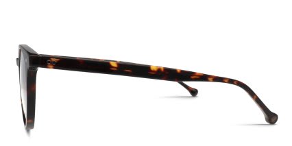Belvie Maine Tortoise glasses - Tortoise - Side View