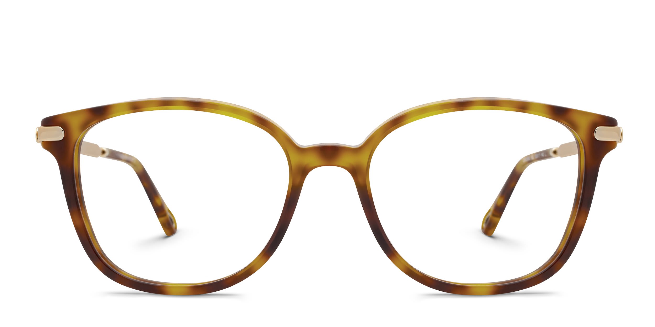 Chloe CH0359O Tortoise glasses - Tortoise - Frontal View