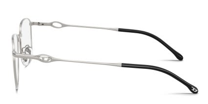 Diesel DL5013D Brown, Gunmetal glasses - Brown / Gunmetal - Side View