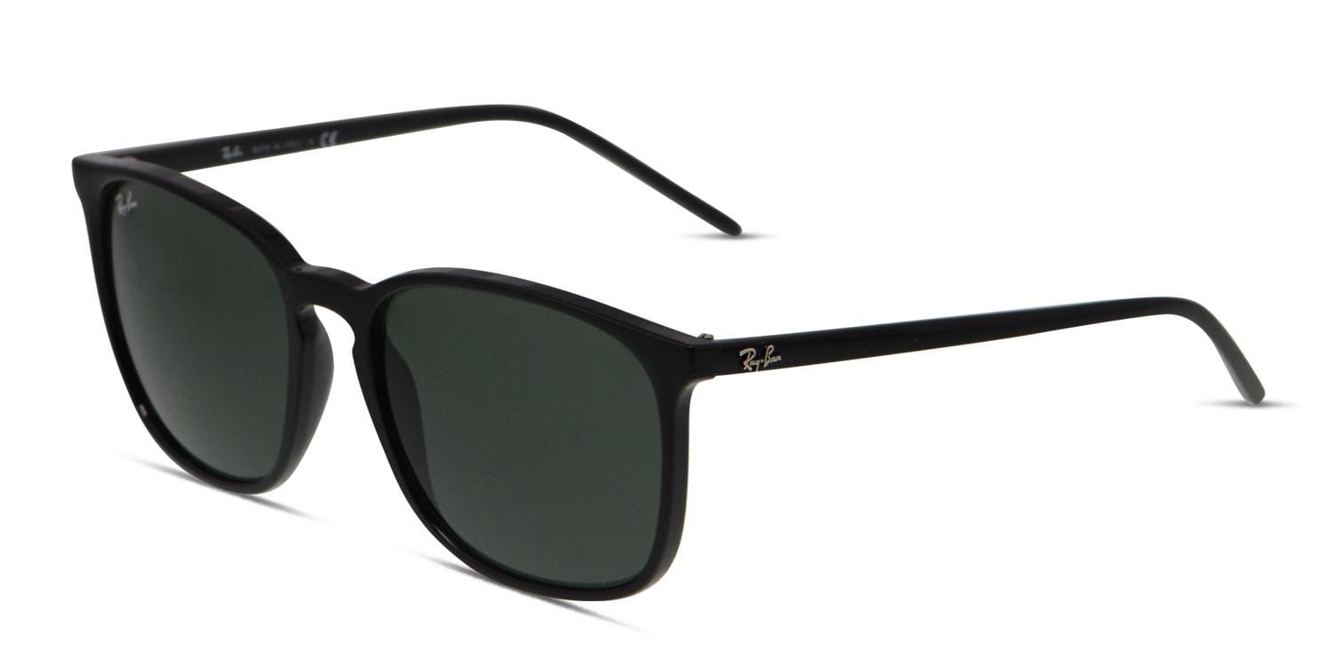 Ray-Ban 4387 Shiny Black