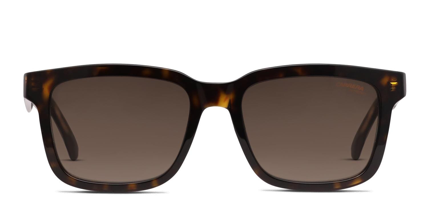 Carrera 251/S Brown/Tortoise glasses - Brown / Tortoise - Frontal View