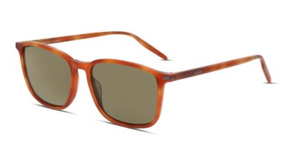 Serengeti Lenwood
