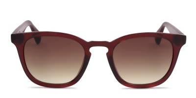 Ted Baker TB1683