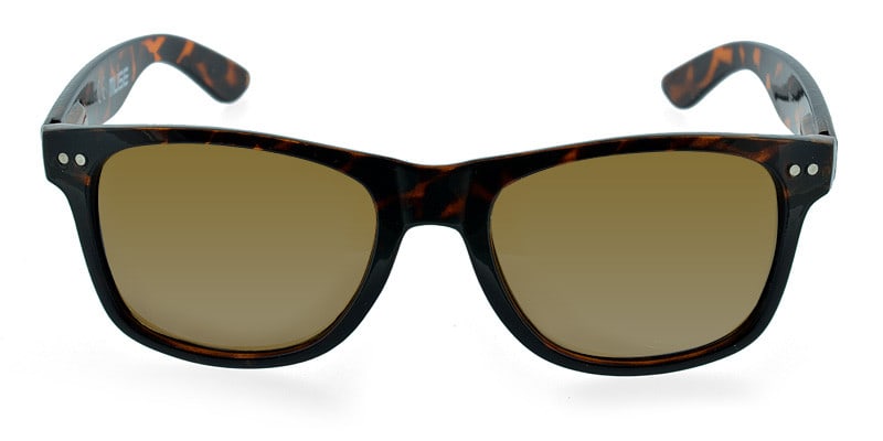 Trey Tortoise Shell NA Wayframe Full Frame sunglasses - front