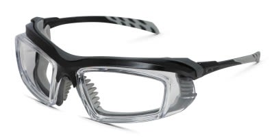 ArmouRx 6008FS