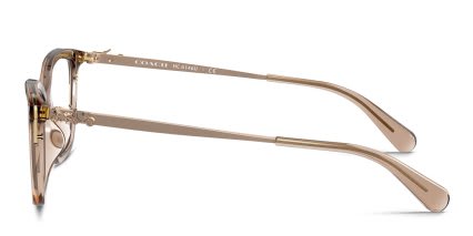 Coach HC6146U Clear, Brown glasses - Clear / Brown - Side View