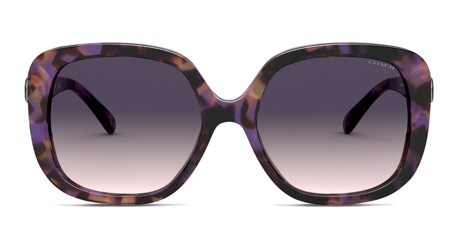 Coach HC8292 purple, tortoise frame with purple pink gradient lenses