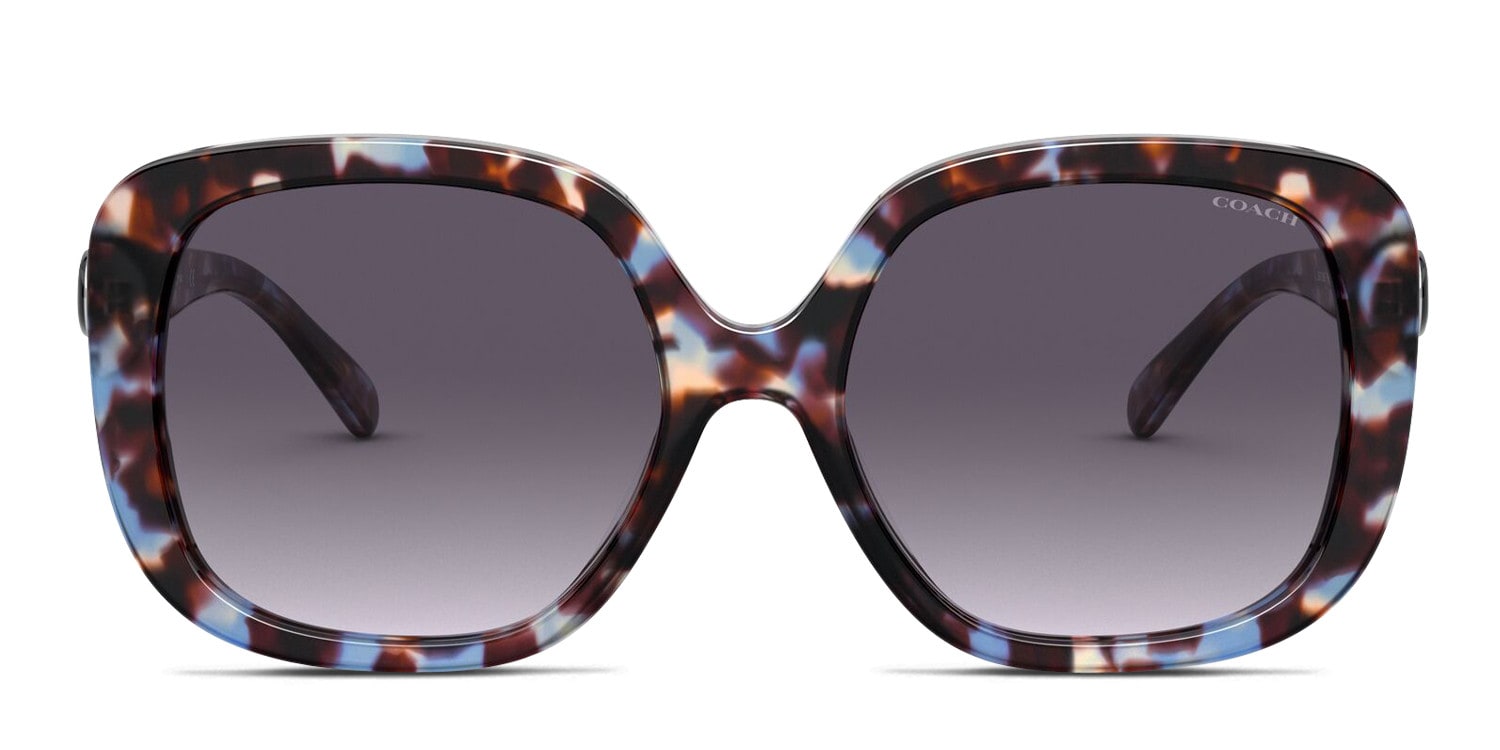 Coach HC8292 blue , tortoise frame with blue gradient lenses