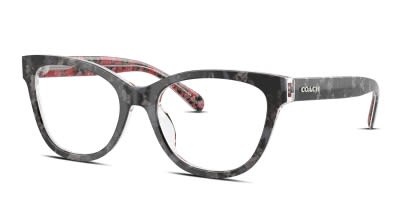 Coach HC6249U