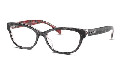 Coach HC6250U