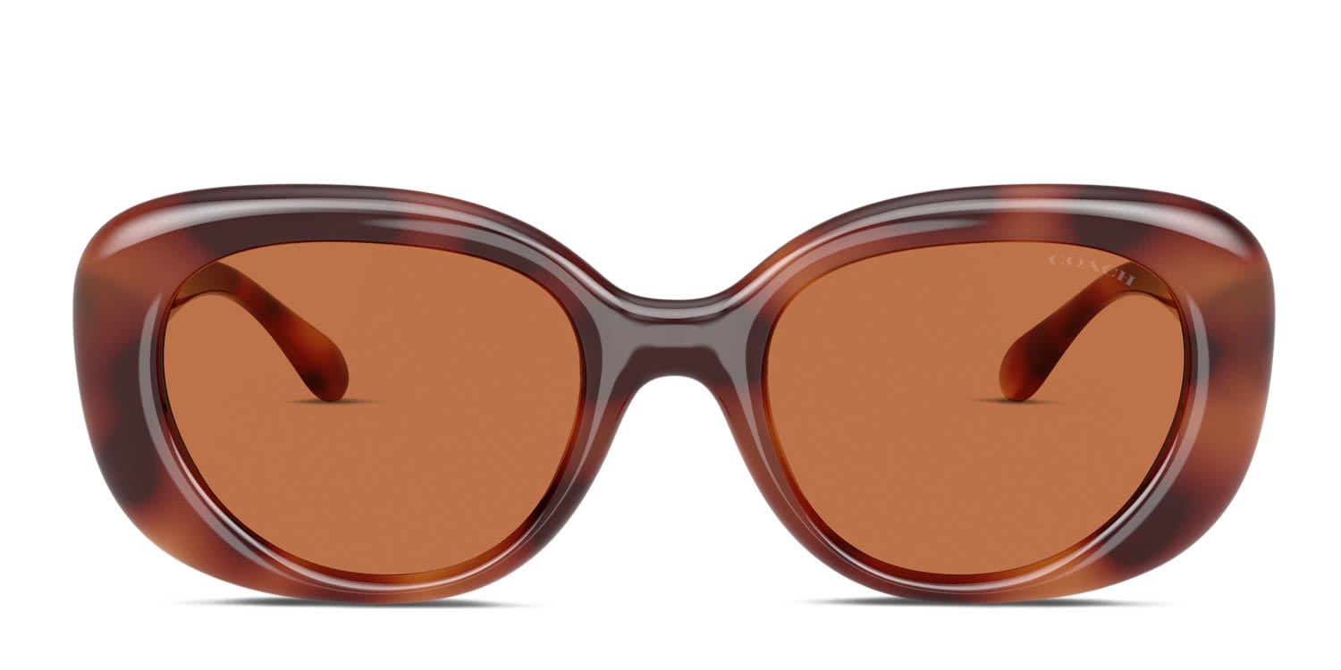 Coach HC8391U Brown, Tortoise glasses - Brown / Tortoise - Frontal View