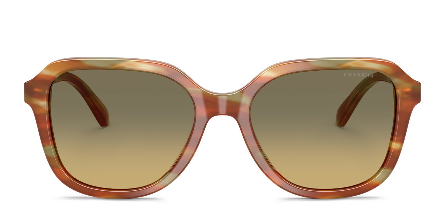 Coach HC8437U Tortoise, Green glasses - Tortoise / Green - Frontal View