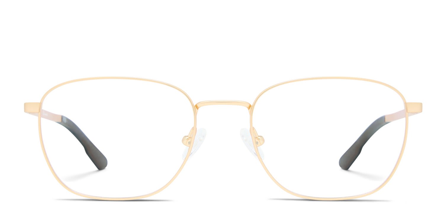Champion FL1013 Gold glasses - Gold - Frontal View