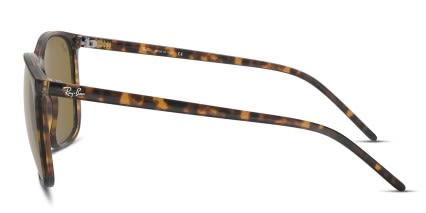 Ray-Ban RB4387 Brown , Tortoise glasses - Brown / Tortoise - Side View