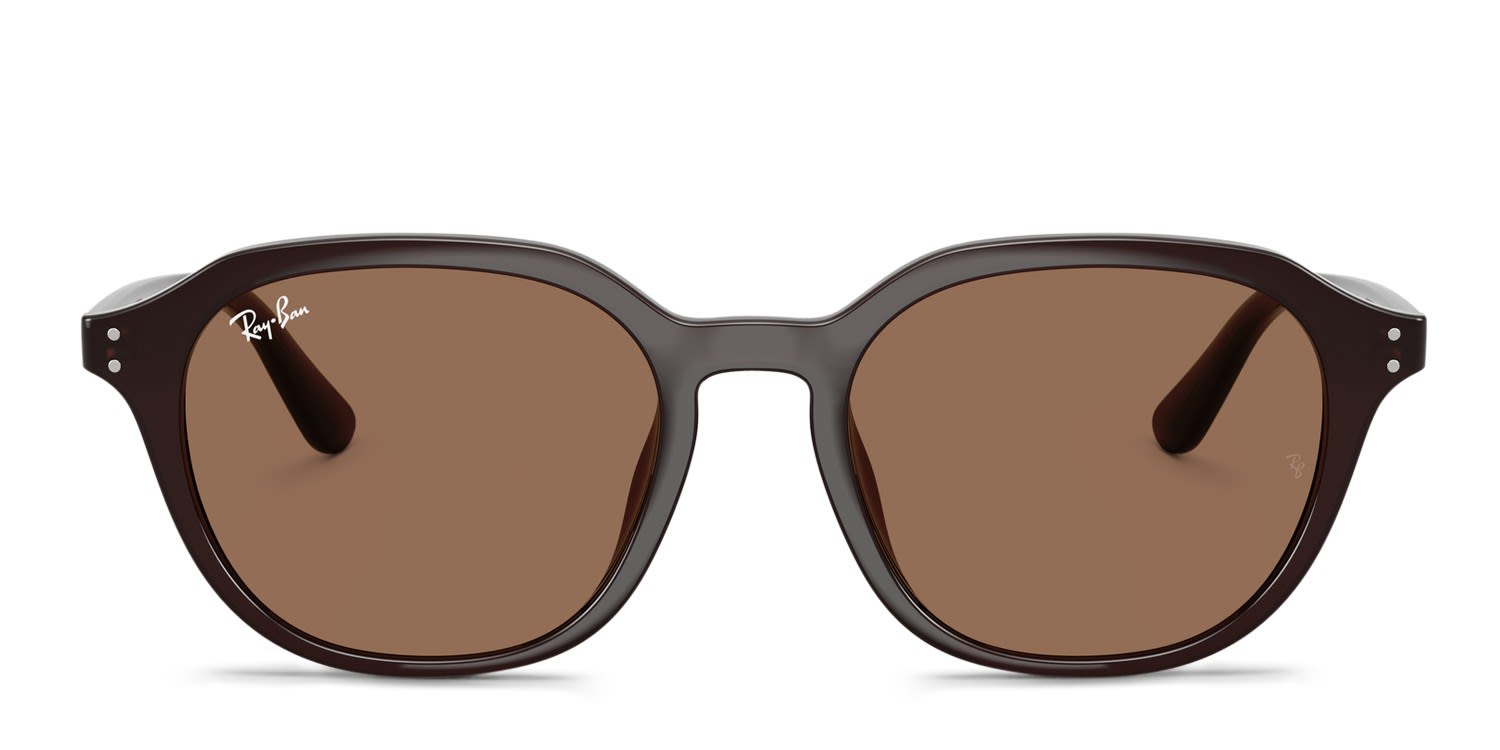Ray-Ban RB4459D Brown glasses - Brown - Frontal View
