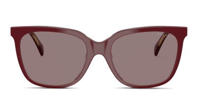 Ralph Lauren RA5343U