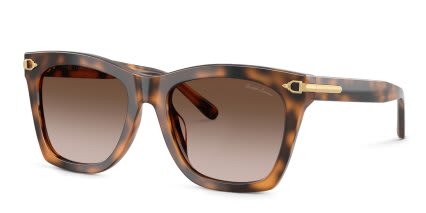 Ralph Lauren RL8235U Tortoise, Brown glasses - Tortoise / Brown - Angle View