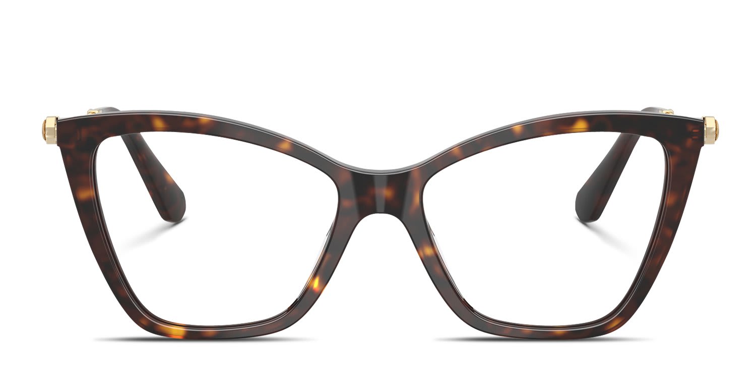 Swarovski SK2051 Tortoise glasses - Tortoise - Frontal View