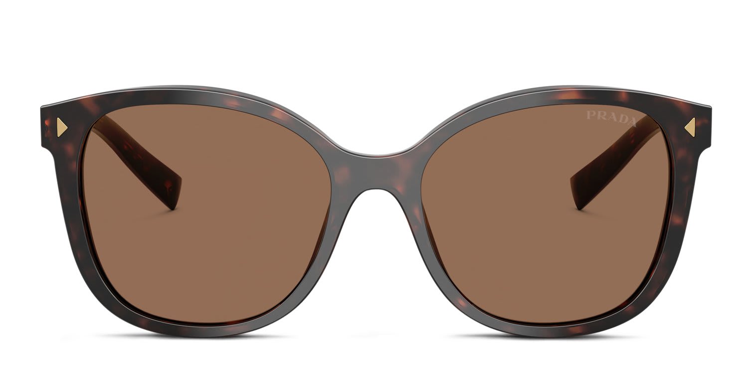 Prada PR22ZS Tortoise, Brown glasses - Tortoise / Brown - Frontal View