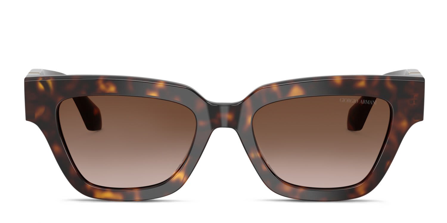 Giorgio Armani AR8246U Tortoise, Brown glasses - Tortoise / Brown - Frontal View