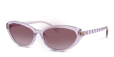 Ralph Lauren RA5338U