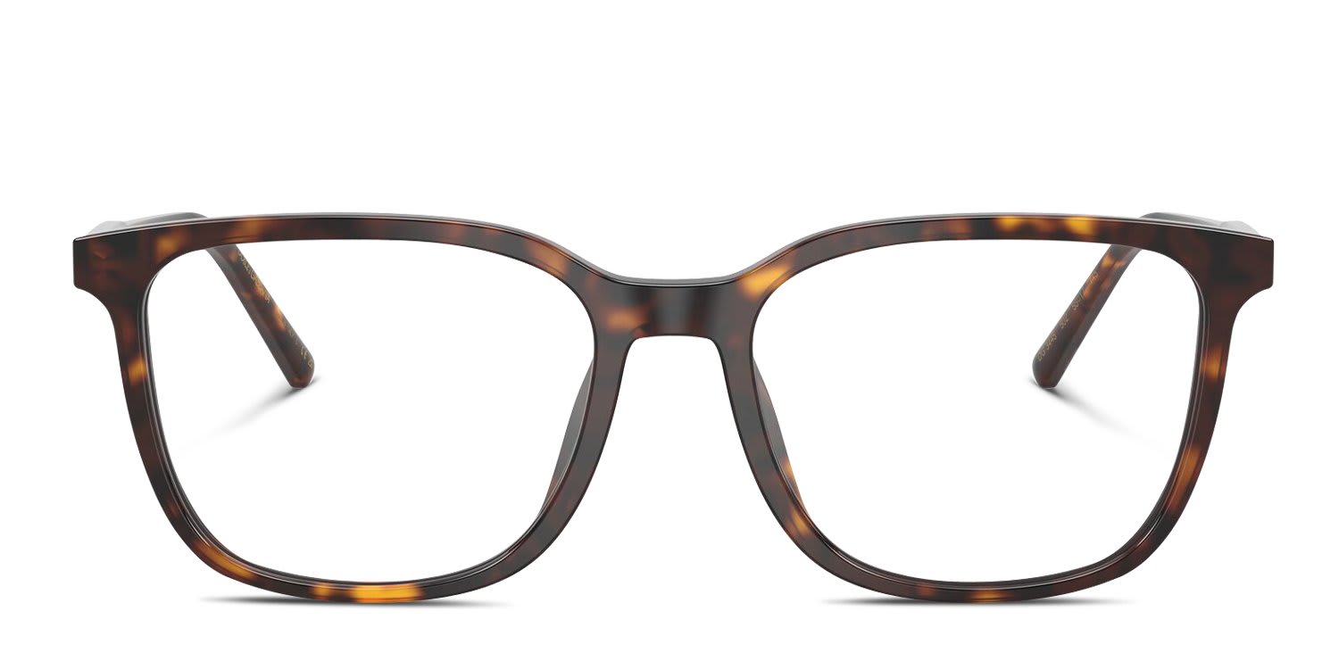 Dolce & Gabbana DG3445 Tortoise glasses - Tortoise - Frontal View