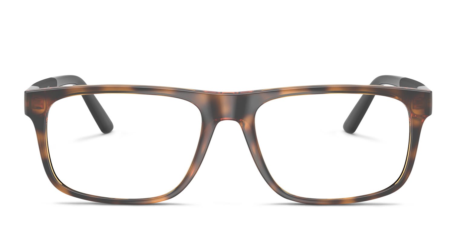 Polo Ralph Lauren PH2218 Tortoise glasses - Tortoise - Frontal View